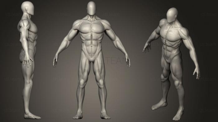 3D model Body Basemesh (STL)